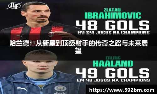 3377体育官网